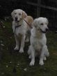 Loona und Janice.jpg