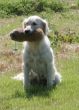 img_1694loonadummyklein.jpg