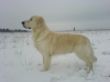 Dusty Dez. 2005 013.jpg