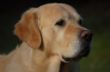 Sammy0107.jpg